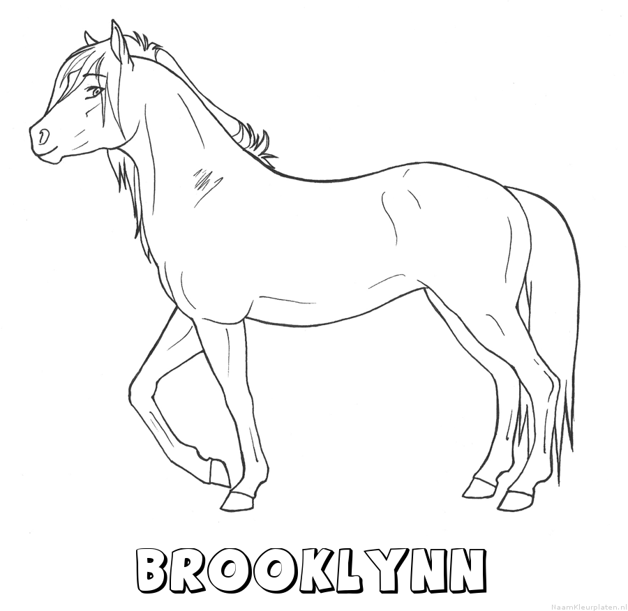 Brooklynn paard