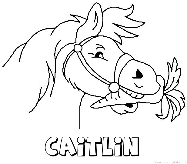 Caitlin paard van sinterklaas kleurplaat