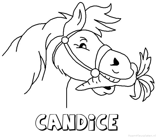 Candice paard van sinterklaas kleurplaat