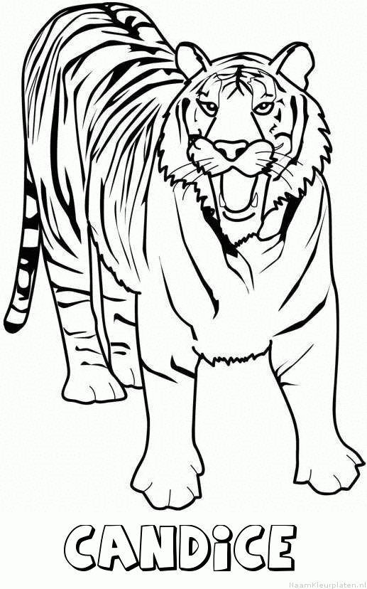 Candice tijger 2 kleurplaat