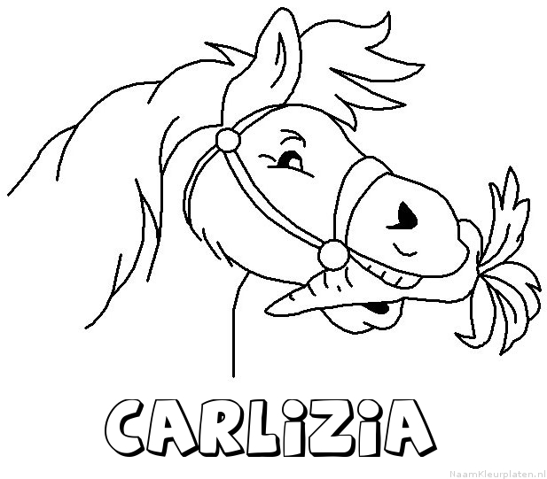 Carlizia paard van sinterklaas kleurplaat