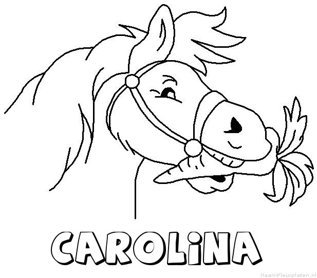 Carolina paard van sinterklaas kleurplaat