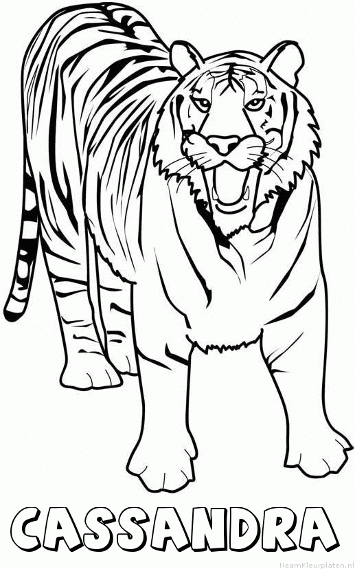 Cassandra tijger 2 kleurplaat