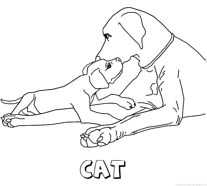 Cat hond puppy kleurplaat