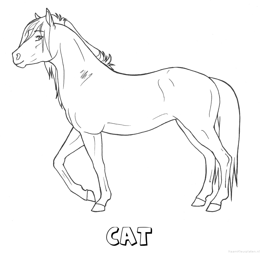 Cat paard kleurplaat