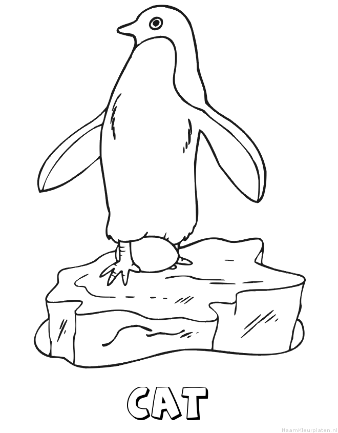 Cat pinguin kleurplaat