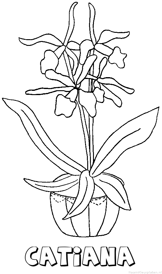Catiana bloemen