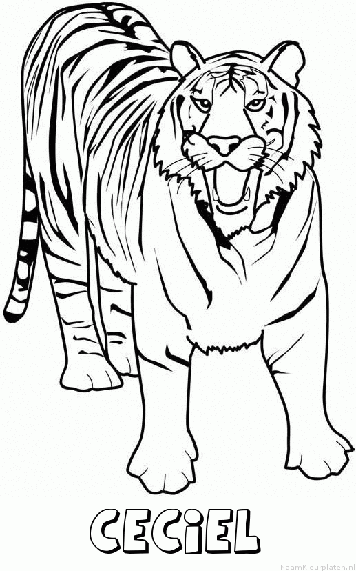 Ceciel tijger 2 kleurplaat