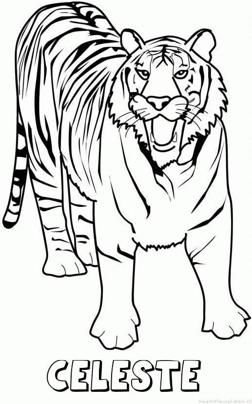 Celeste tijger 2 kleurplaat