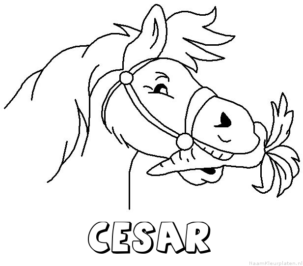 Cesar paard van sinterklaas kleurplaat