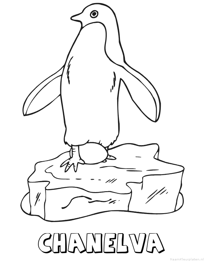 Chanelva pinguin