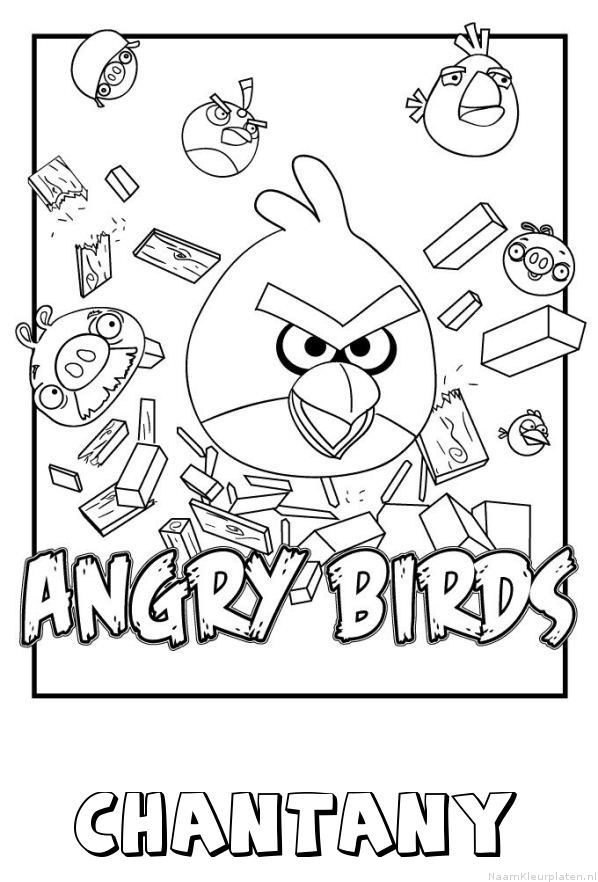 Chantany angry birds
