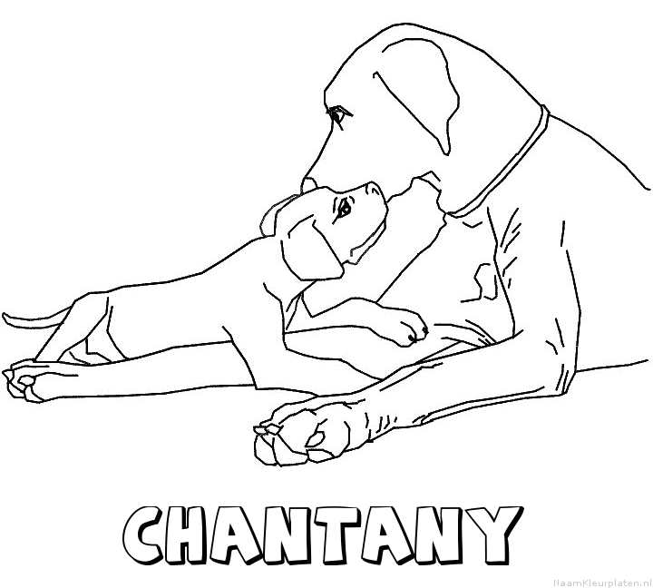 Chantany hond puppy kleurplaat