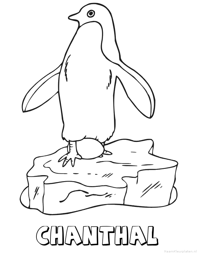 Chanthal pinguin kleurplaat
