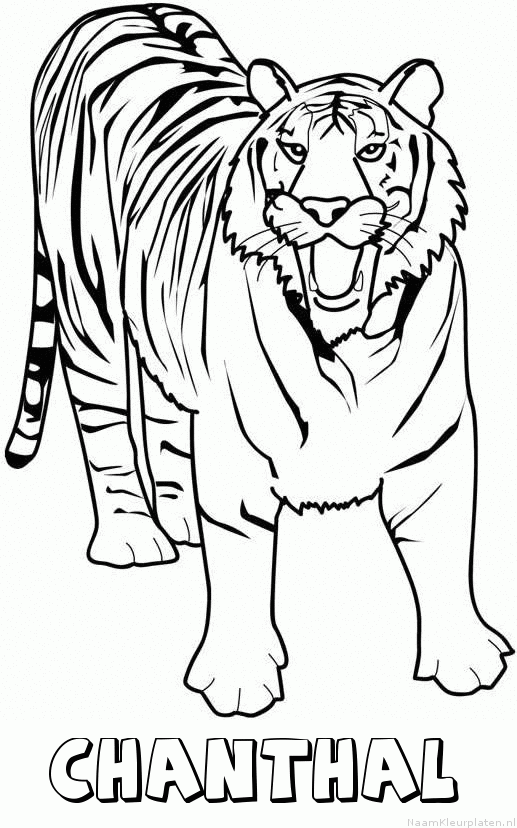 Chanthal tijger 2 kleurplaat