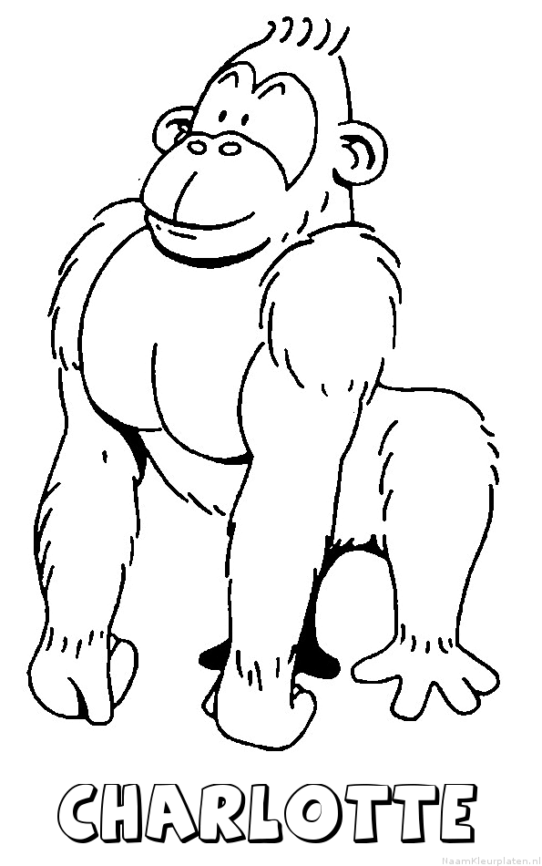 Charlotte aap gorilla