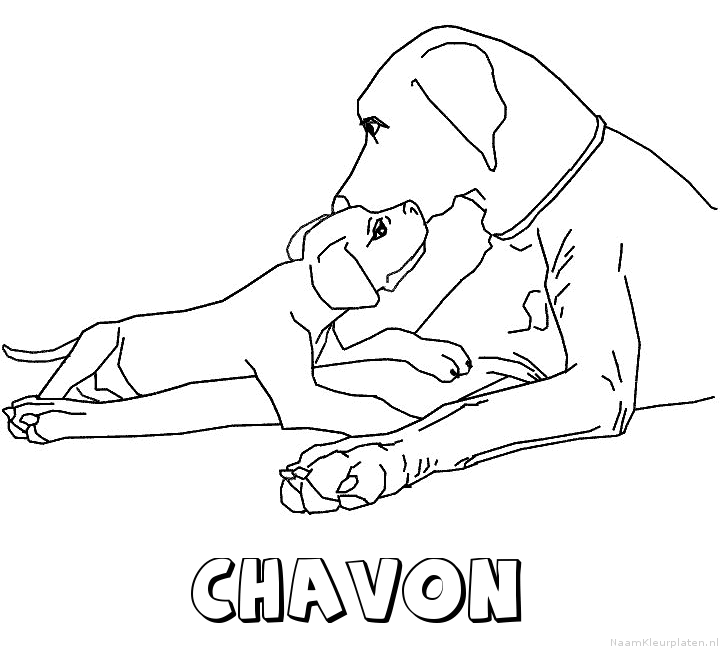 Chavon hond puppy kleurplaat
