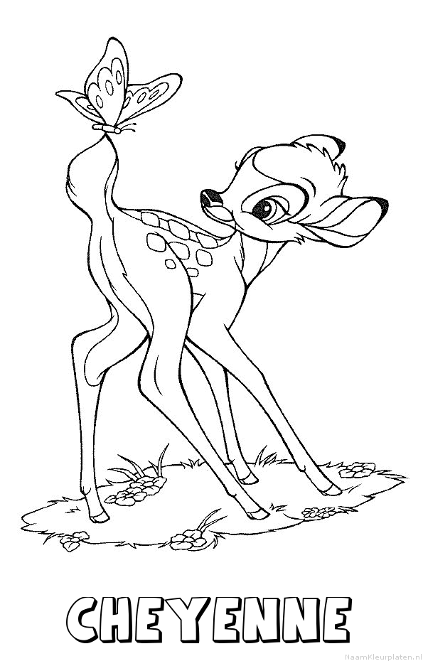 Cheyenne bambi