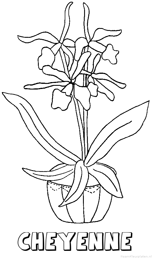 Cheyenne bloemen