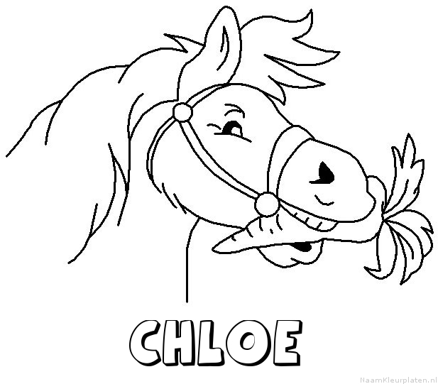 Chloe paard van sinterklaas