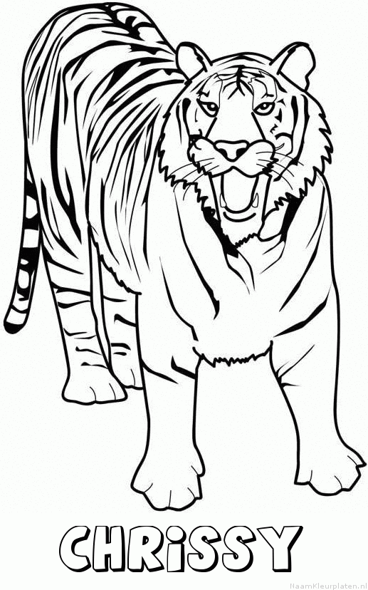 Chrissy tijger 2
