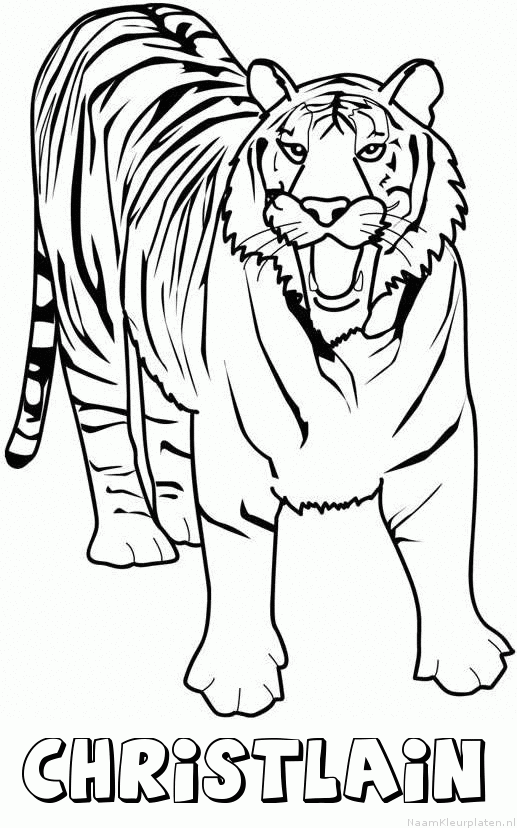 Christlain tijger 2 kleurplaat