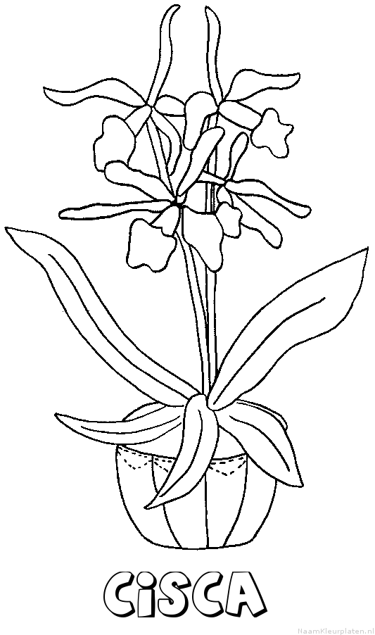 Cisca bloemen kleurplaat