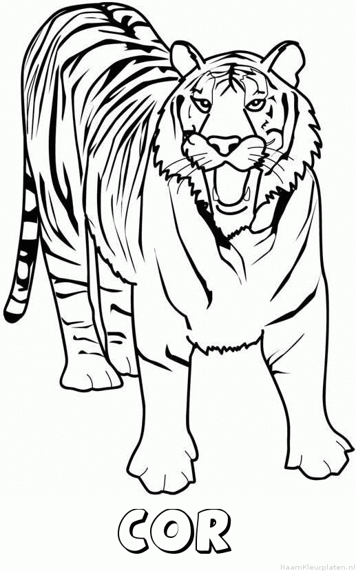 Cor tijger 2 kleurplaat