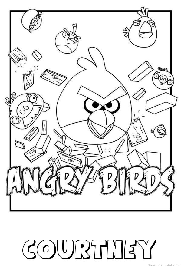 Courtney angry birds
