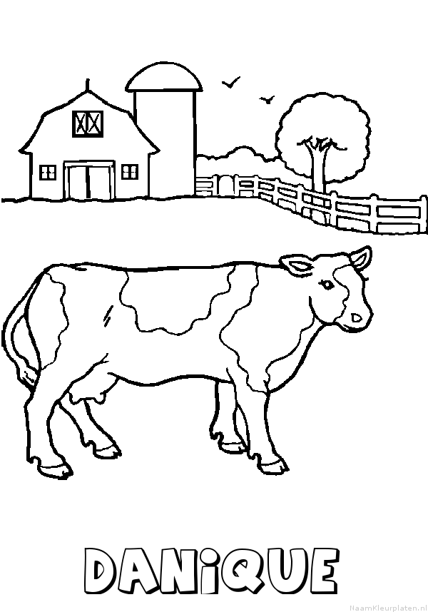 Danique koe
