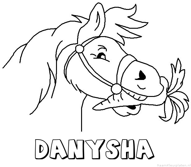 Danysha paard van sinterklaas