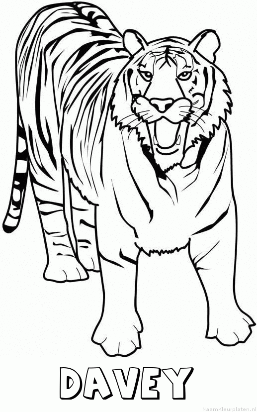 Davey tijger 2 kleurplaat