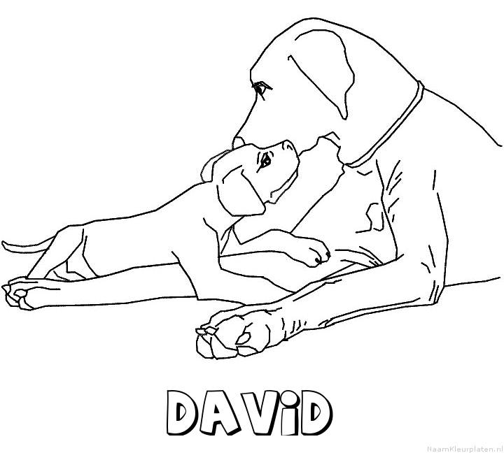 David hond puppy kleurplaat
