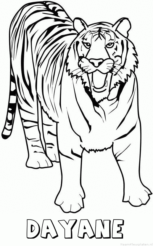 Dayane tijger 2