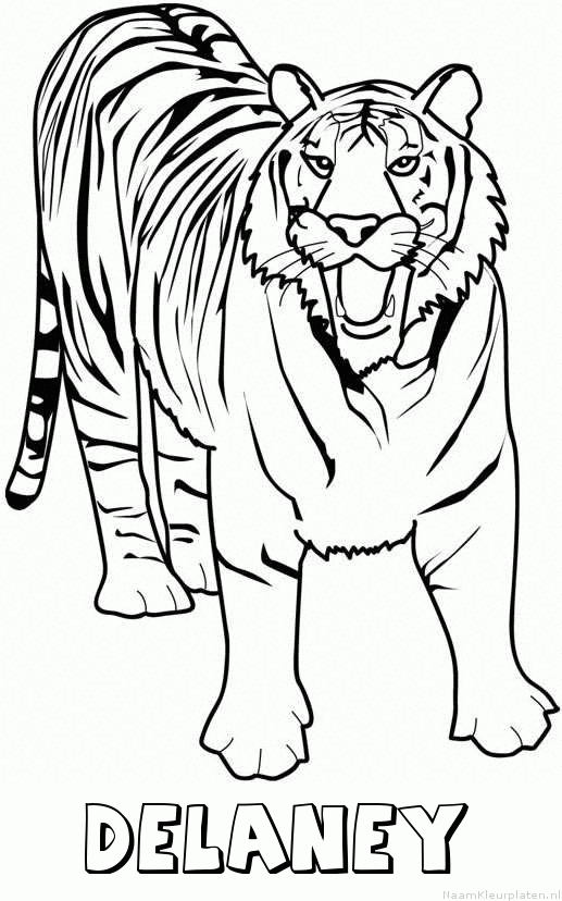 Delaney tijger 2 kleurplaat