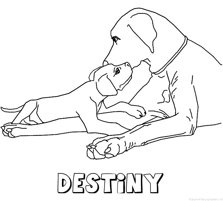 Destiny hond puppy kleurplaat