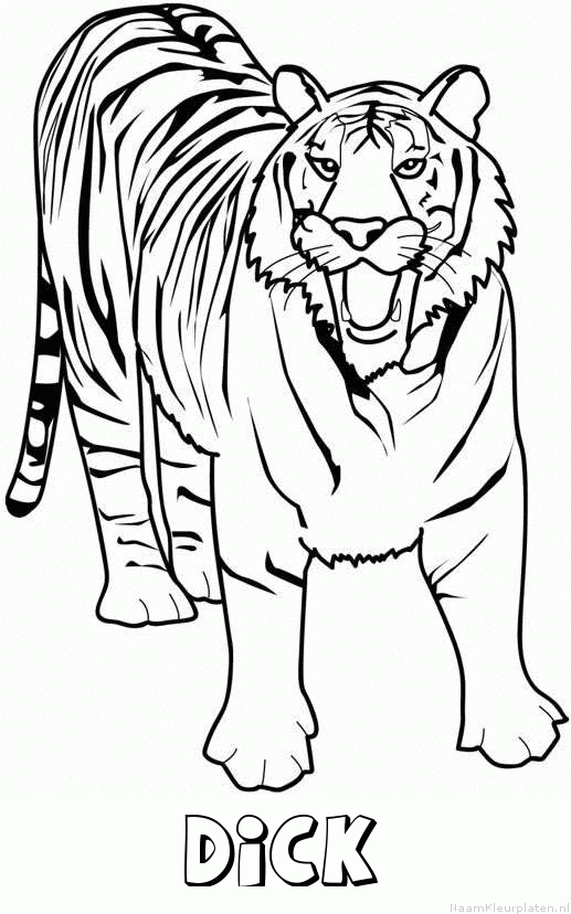 Dick tijger 2 kleurplaat