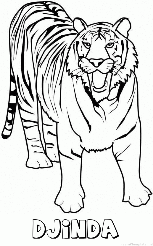 Djinda tijger 2 kleurplaat