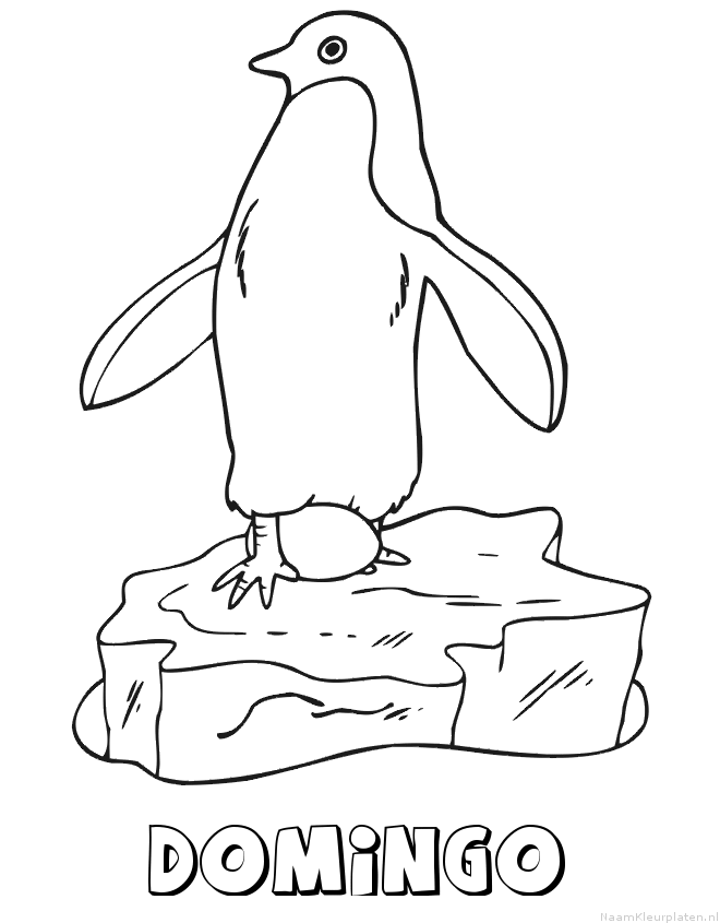 Domingo pinguin