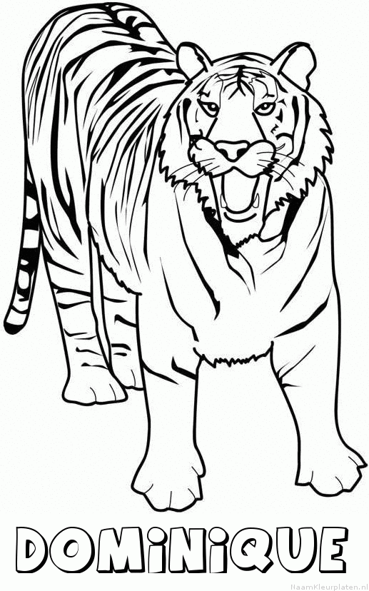 Dominique tijger 2 kleurplaat