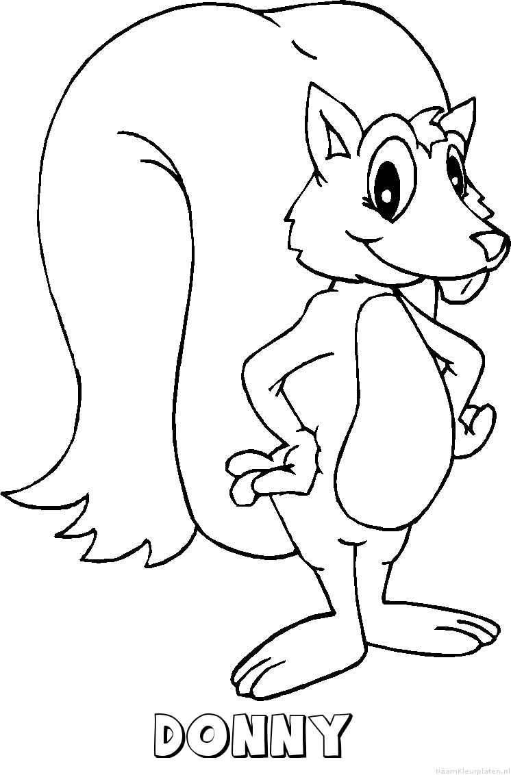 Donny eekhoorn