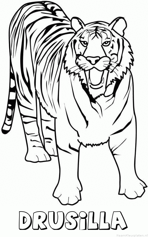 Drusilla tijger 2 kleurplaat