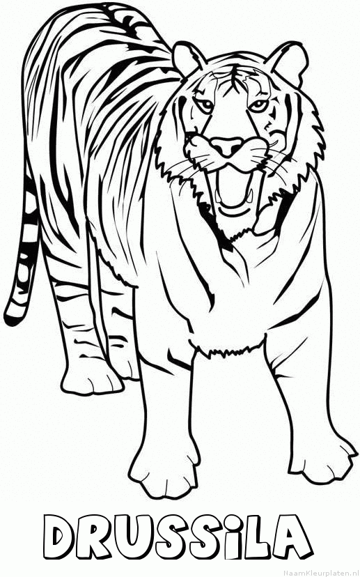 Drussila tijger 2 kleurplaat