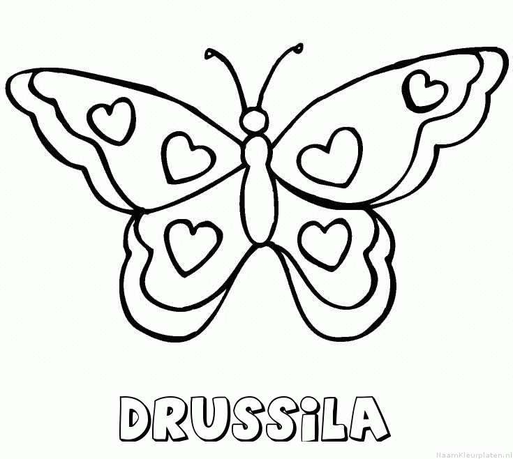 Drussila vlinder hartjes kleurplaat