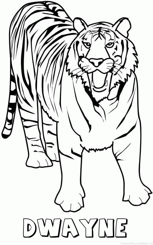 Dwayne tijger 2 kleurplaat