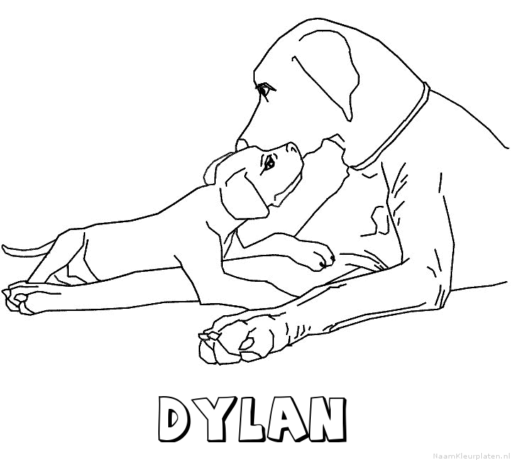 Dylan hond puppy