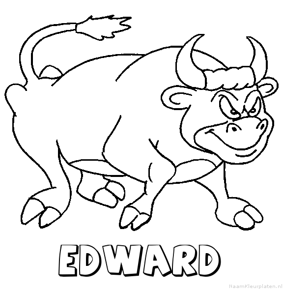Edward stier