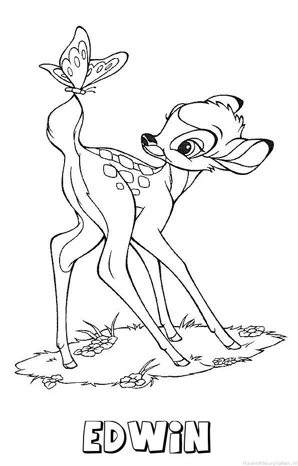 Edwin bambi