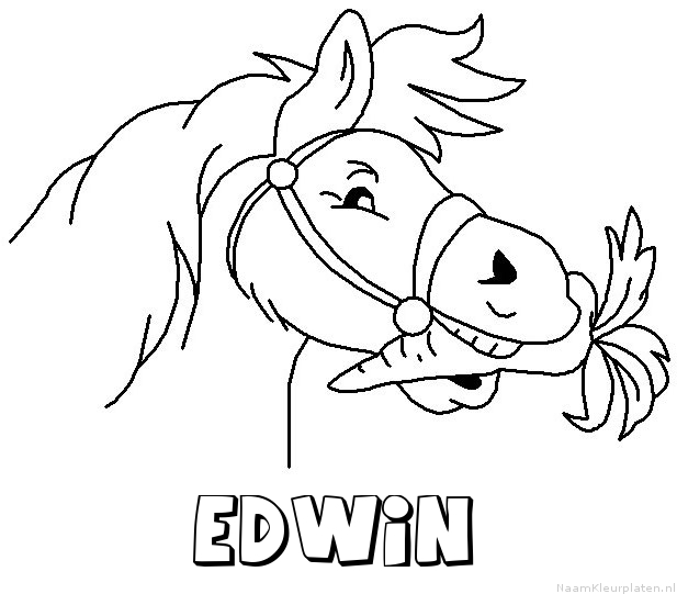 Edwin paard van sinterklaas kleurplaat