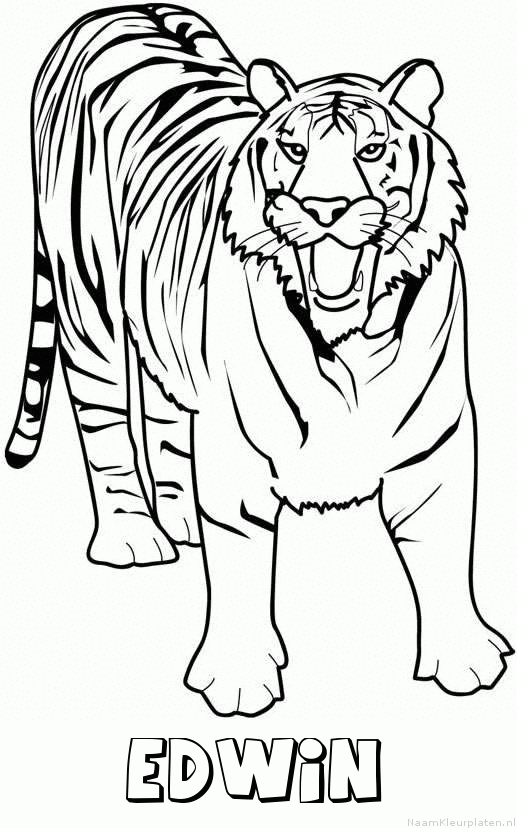 Edwin tijger 2 kleurplaat